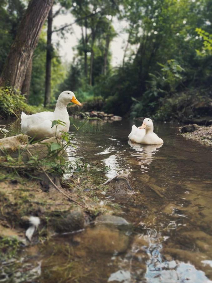 Gospodarstwo Agroturystyczne U Ani Krosnica  Exteriér fotografie